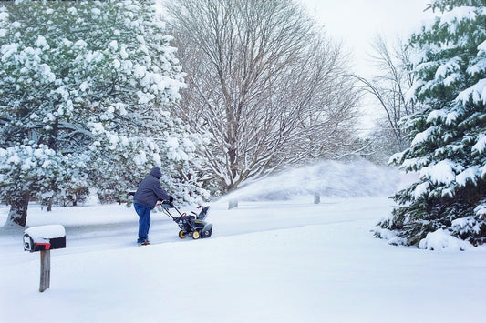 snowblower spark plugs