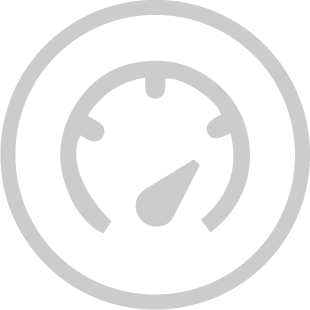 <strong>THROTTLE RESPONSE</strong>